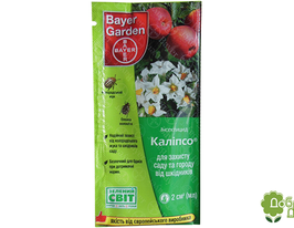 Каліпсокупити