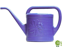 Лійка Квітка 2,25 л, фіолетовакупити