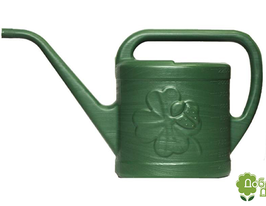 Лійка Квітка 2,25 л, зеленакупити