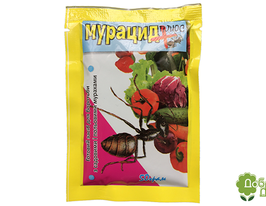 Мурацид плюскупити