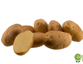 Картофель Фонтане (Fontane) купить