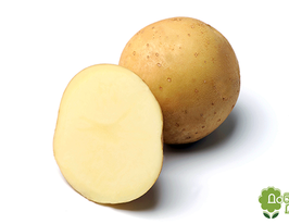 Картофель Мэдисон (Madison) купить