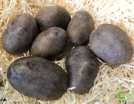 Картопля Смуглянкакупити