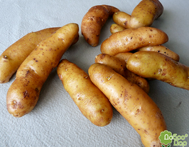 Картофель Пальчики купить