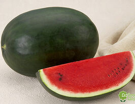 Кавун Лахат F1купити