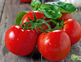 Томат Бон Аппетит купить