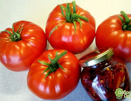 Томат Космонавт Волковкупити