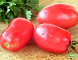 Томат Леоноркупити