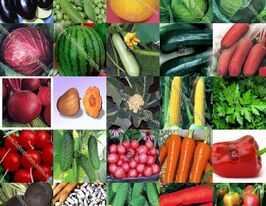 Набір насіння Добродарчик Міні Овочікупити