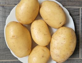 Картофель Коломба купить