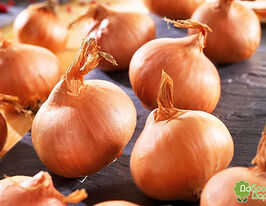 Лук шалот Еллоу Мун (Yellow Moon) купить