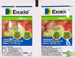 Энжио (Енжіо) 247 SC, к.с. 3,6 мл купить