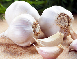 Чеснок Мерефянский белый озимый купить