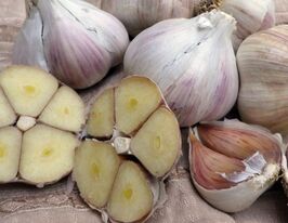 Чеснок Проминь озимый купить