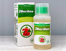 Мастак купить