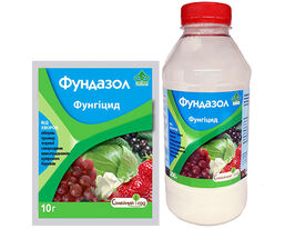 Фундазолкупити
