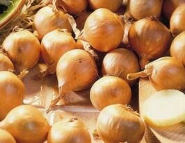 Цибуля Шалот Голден Гурме озимакупити