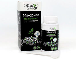 Микофренд купить