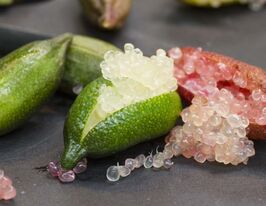 Мікроцитрус (Mikrocitrus)купити