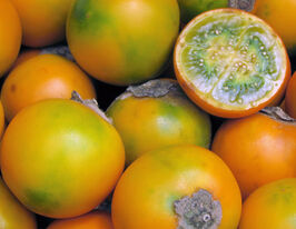 Наранхілла (Solanum quitoense)купити