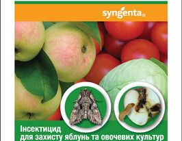 Проклейм купить