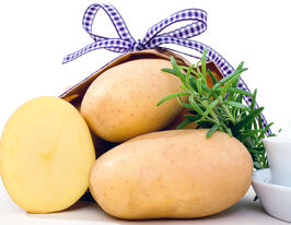 Картофель Джелли купить