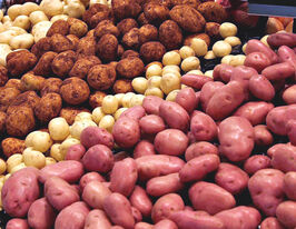 Картофель столовая  купить
