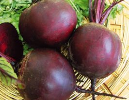 Свекла столовая Бикорес купить