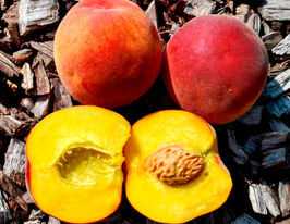 Персик Харнаскупити