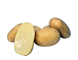 Картофель Раноми купить