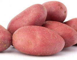 Картофель Аляска купить