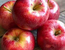 Яблоня Гала купить