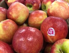 Яблоня Пинк Леди купить