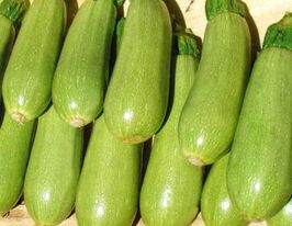 Кабачок Асма F1 купить