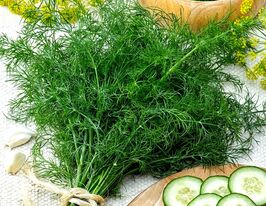 Кріп Санаткупити