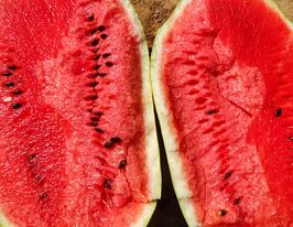 Кавун Тамтам F1купити