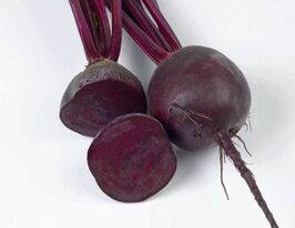 Свекла столовая Ред Хавк F1 купить