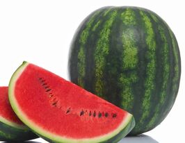 Кавун Сенсей F1купити