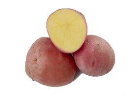 Картопля Мірамікупити