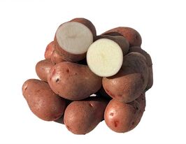 Картофель Мелания купить