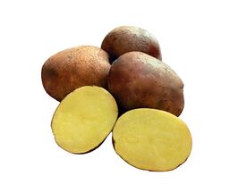 Картопля Соборнакупити