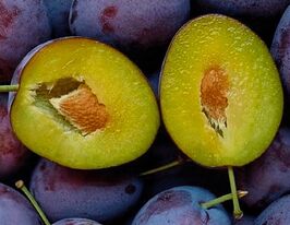 Слива Анна Шпет купити