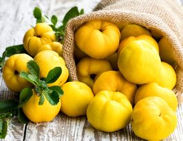 Айва яблукоподібна Мускатна купити