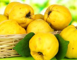 Айва яблукоподібна Олена купити