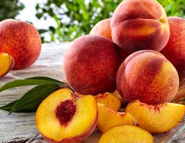 Саженцы персика в Украине: купить саженцы персиков почтой
