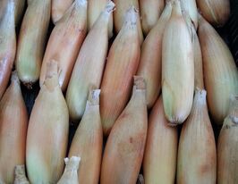 Цибуля Тоска 1 кгкупити