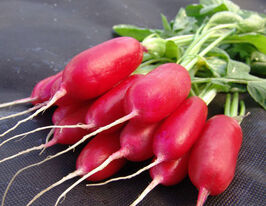 Редис Форум купить