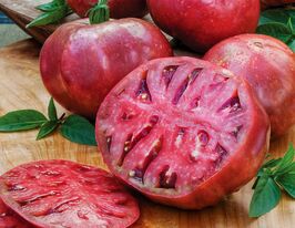 Томат Чероки пурпурный (Cherokee purple) купить