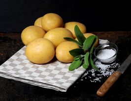 Картофель Мадейра купить