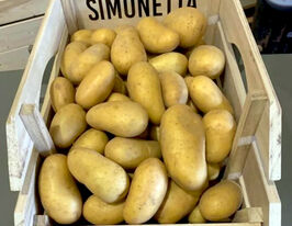 Картофель Симонетта купить